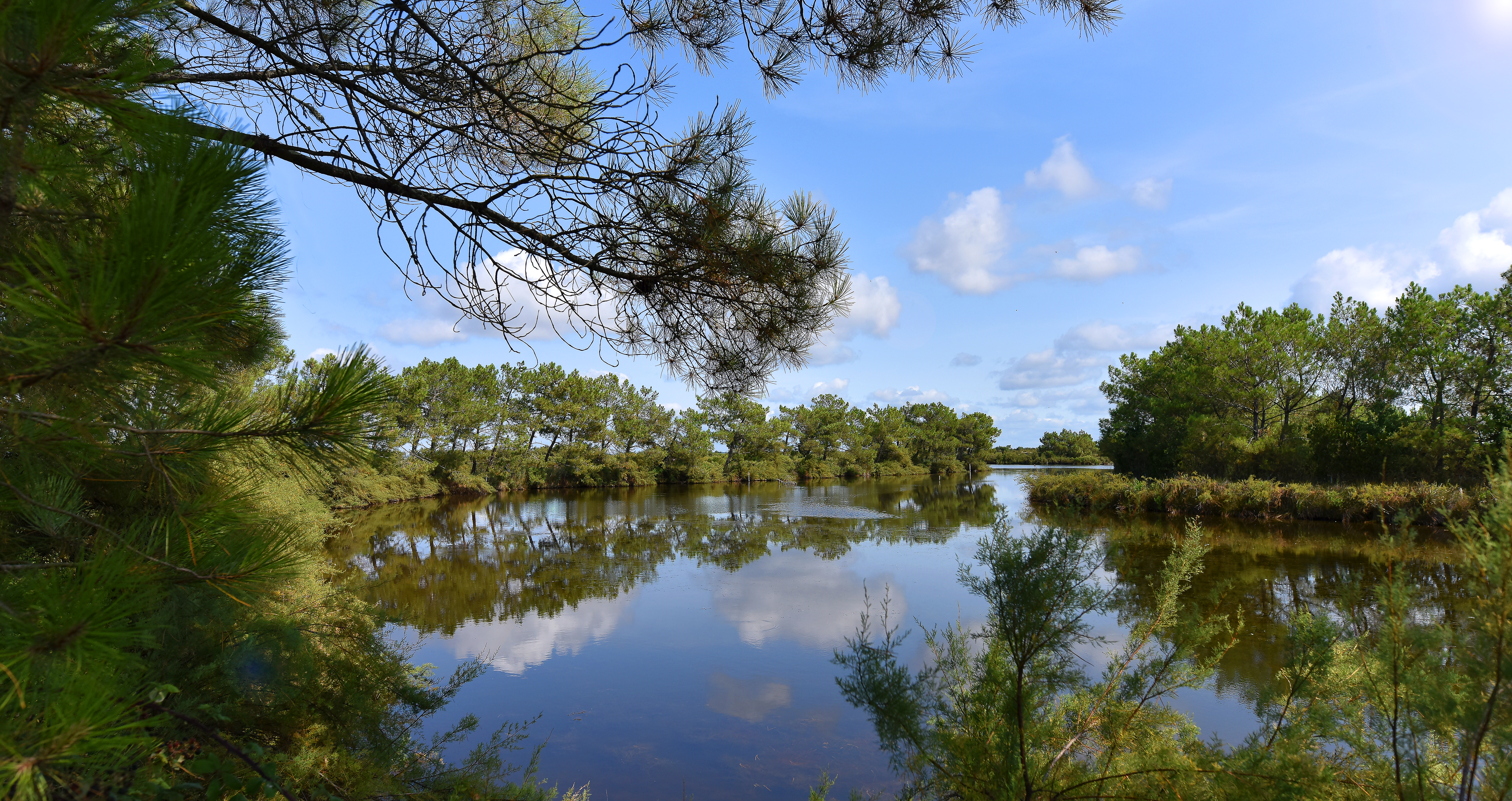 LE TEICH LE TEICH